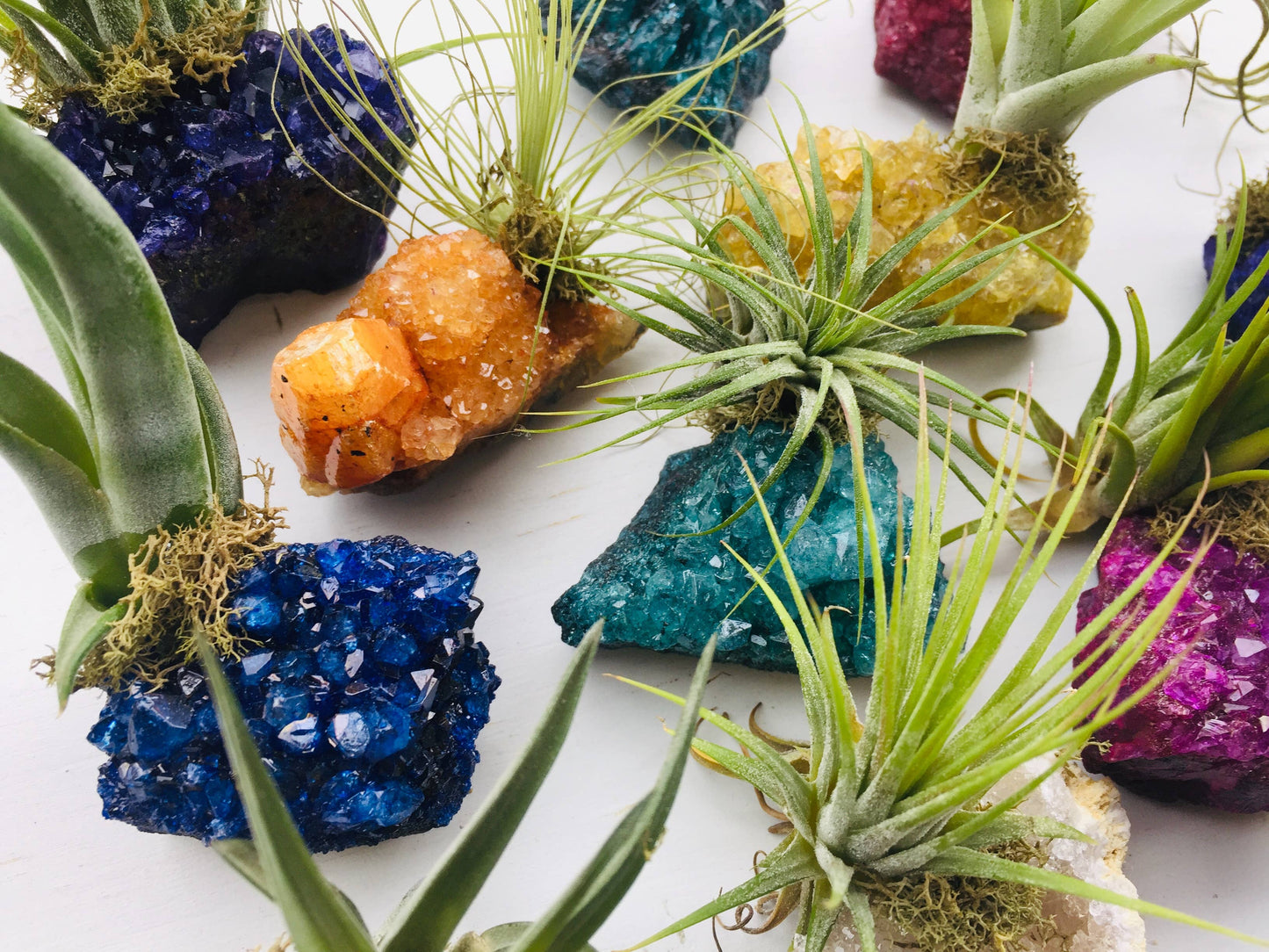 Crystal Air Plants -Magical Druzy Crystal Clusters 1PC