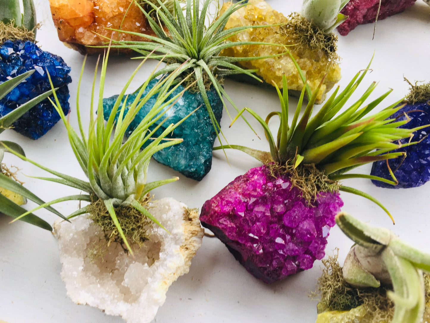 Crystal Air Plants -Magical Druzy Crystal Clusters 1PC