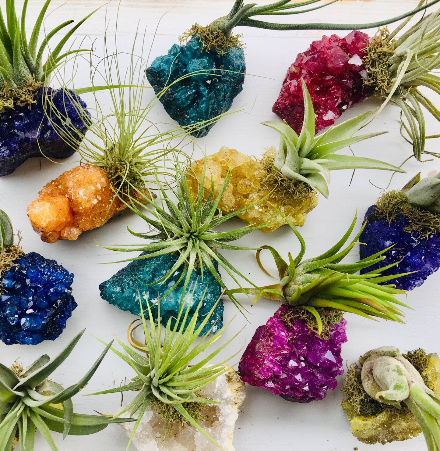 Crystal Air Plants -Magical Druzy Crystal Clusters 1PC