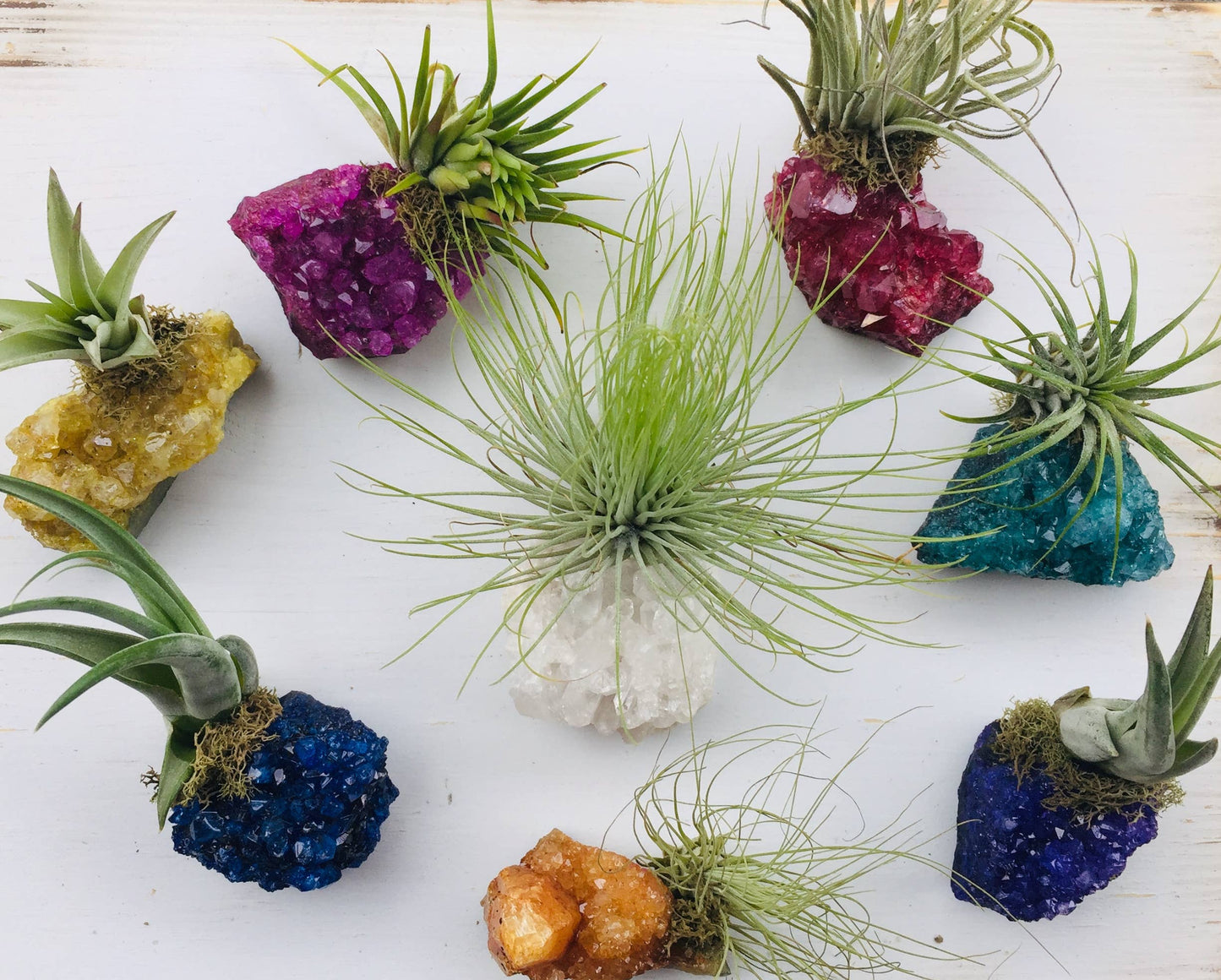 Crystal Air Plants -Magical Druzy Crystal Clusters 1PC