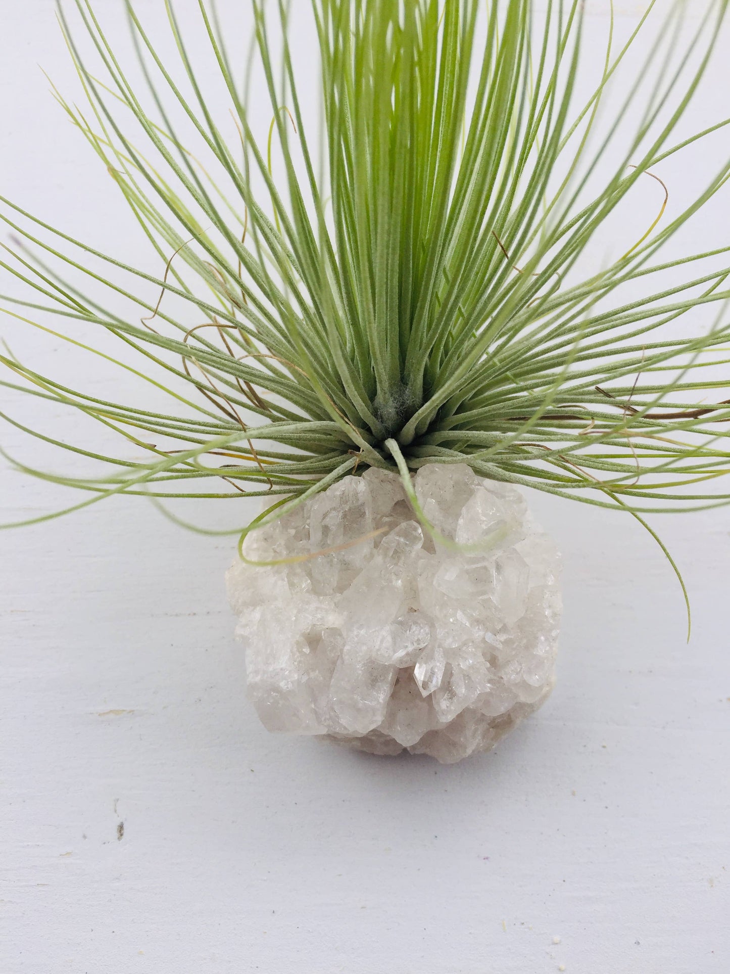 Crystal Air Plants -Magical Druzy Crystal Clusters 1PC