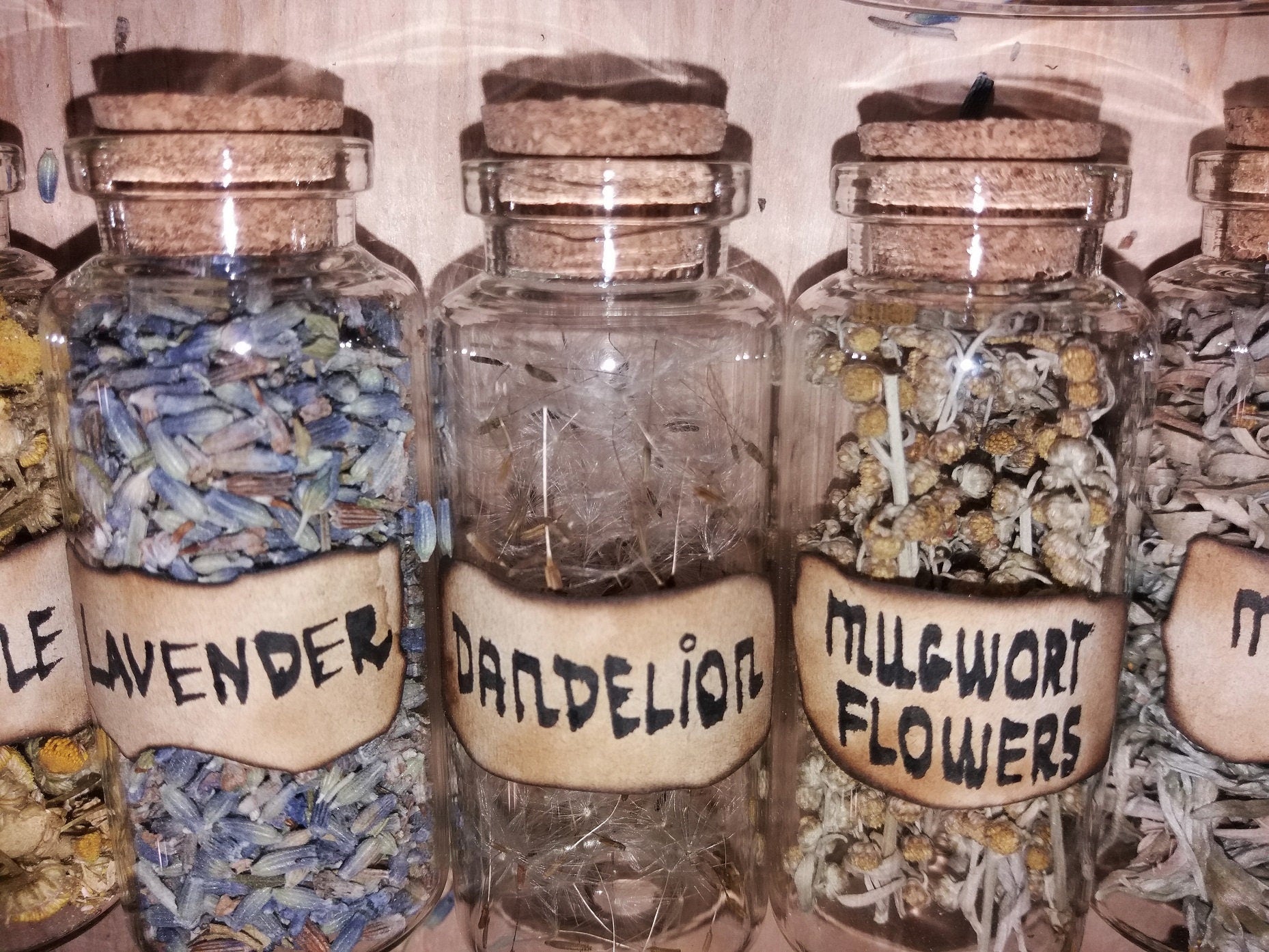 1.5 Oz Herbal Bottles Dried Herb Vial Witchcraft Herbs Witches Apothecary  Herbal Tea Spell Supplies Loose Incense Herb Jars 